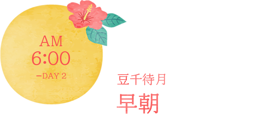 ２日目の早朝散歩やジョギング