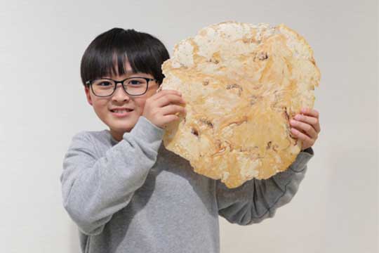 えびせんパーク