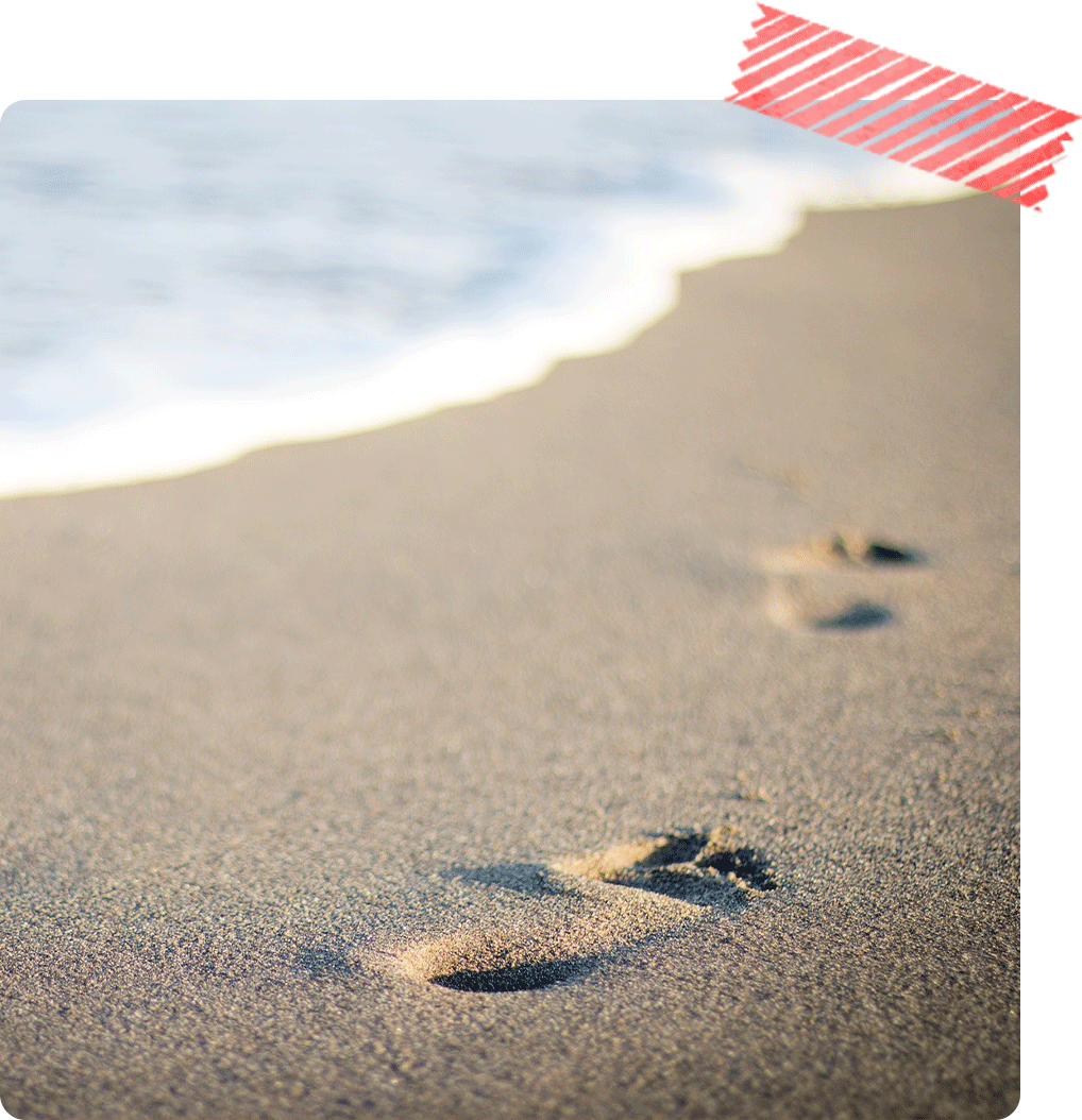 ２日目の早朝散歩やジョギング